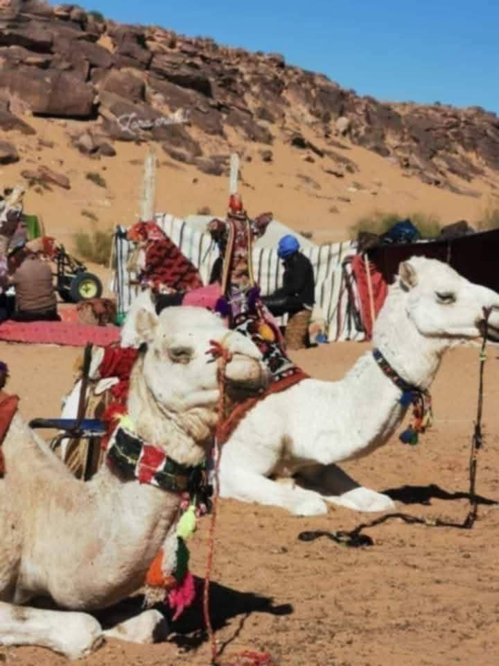 الصحراء الجزائرية